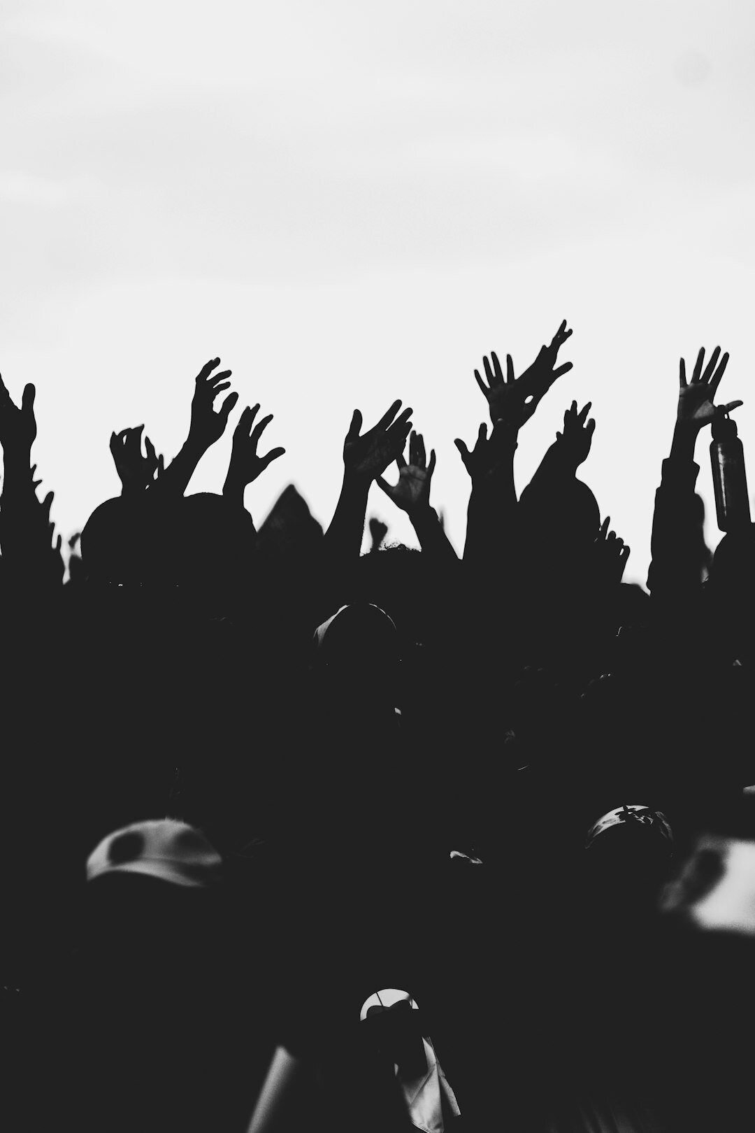 Silhouettes of a diverse crowd at an atmospheric concert